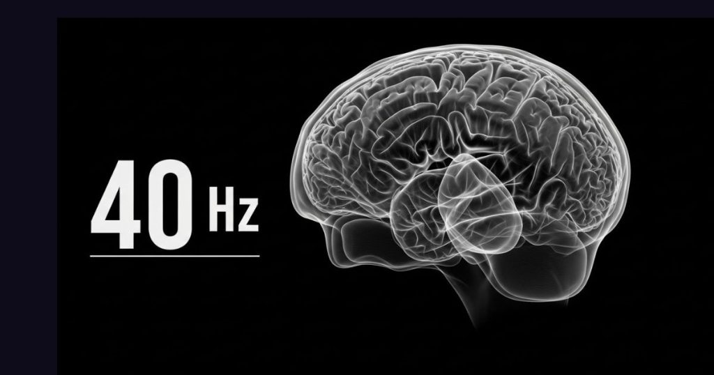 40 Hz Gamma Stimulation